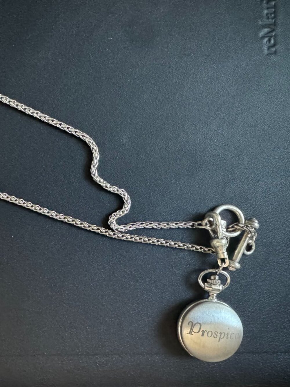 Necklace watch: Prospice and Respice (Forward and Backward)